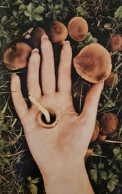 Melvin Sokolski, Hand, Mushroom, 1960