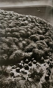 Sebastiao Salgado, Diego Ramirez Archipelago, about 10 hours from Cape Horn, 2005