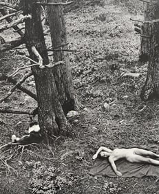 Wynn Bullock, Untitled, 1950's