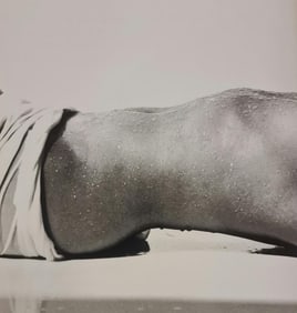 Michel Compte, Torso of film star Sonia Braga, 1991