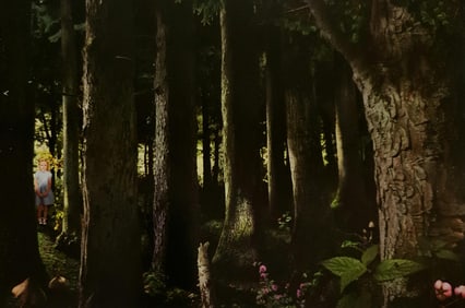 Ruud Van Empel, Theatre#4, 2010