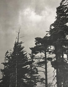 Bruce Weber, Untitled, 1988 - 12