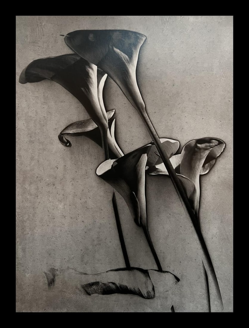 Man Ray, Calla Lilies, 1930 (1 of 1)