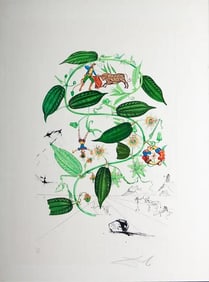 Salvador dali 'Passiflora lauigera - 1968' Etching, Signed & numbered 1968