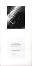 Hiroshi Sugimoto, Lightning Fields w/ Hand-Signed Cut-Out, Framed