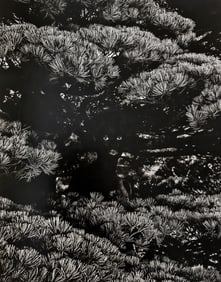 Zanele Muholi, ZaBo II, Kyoto, 2017