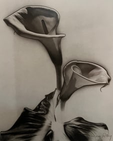 Man Ray, Les Arums, 1930