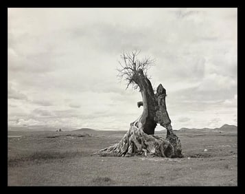 Manuel Alvarez, Tree Struck By Lightning, 1956