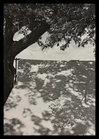 Manuel Alvarez Bravo, Stretched Stretched Light, 1947