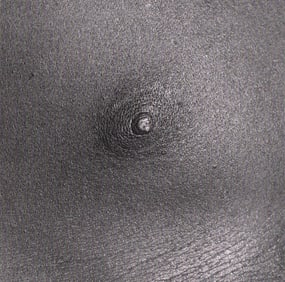 ROBERT MAPPLETHORPE - Nipple 1988