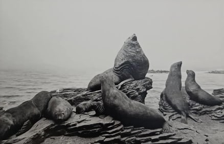 Hiroshi Sugimoto, Stellar Sea Lion, 1994