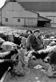 Dennis Stock, James Dean, 1955