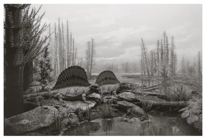 Hiroshi Sugimoto, Permian Land, 1992, Limited edition