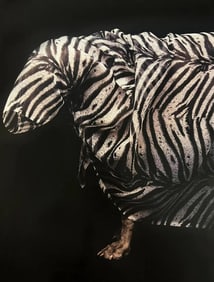William Wegman, Zebra Patern