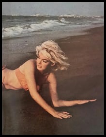 Marilyn Monroe on the beach with the Waves