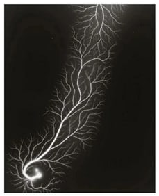 Hiroshi Sugimoto, Lightning Fields, 2009 - Limited edition of 360