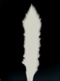 Hiroshi Sugimoto, Untitled (Flickering Candel Light) - 14