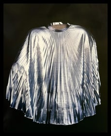 William Wegman, Duct, 1994