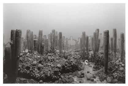 Hiroshi Sugimoto, Upper Denovian Period, 1992, Limited Edition Of 360