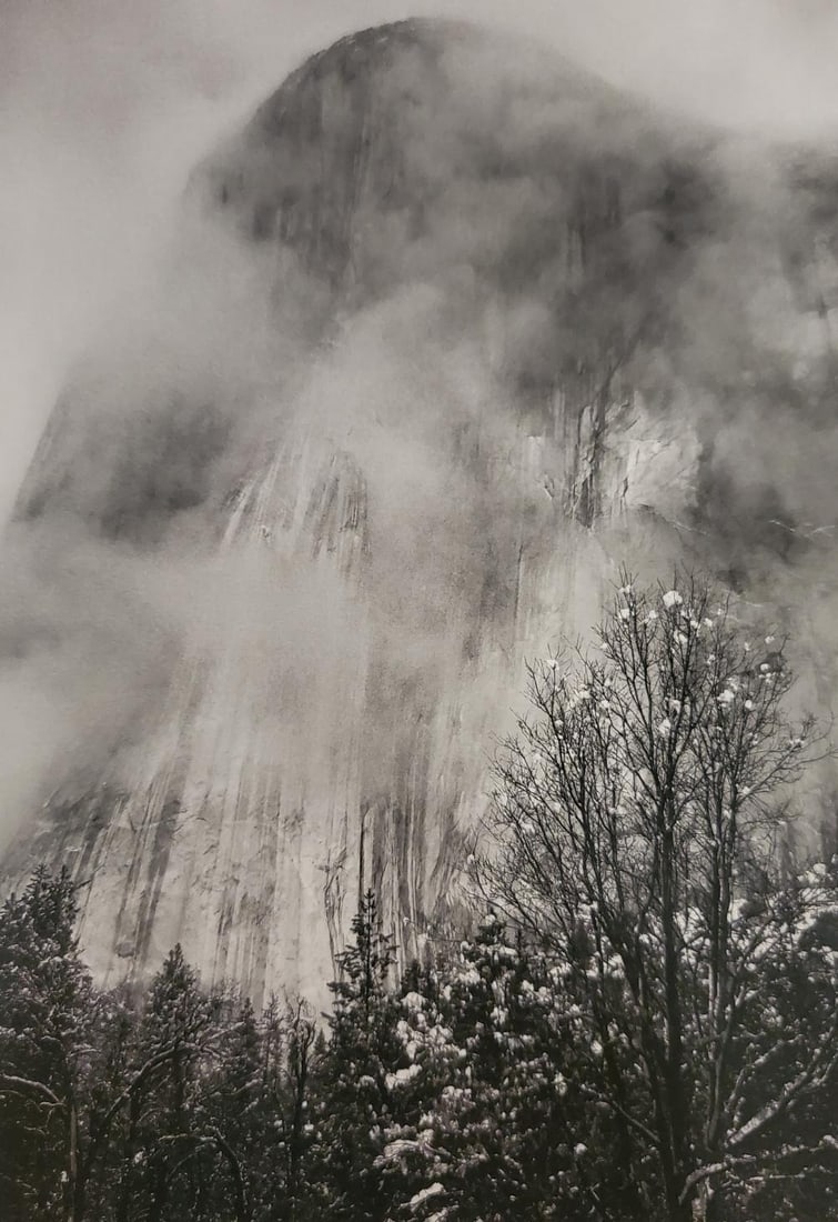 Ansel Adams, El Capitan, Cliffs and Tree, Winter, Yosemite National Park, California, C. 1940 (1 of 1)