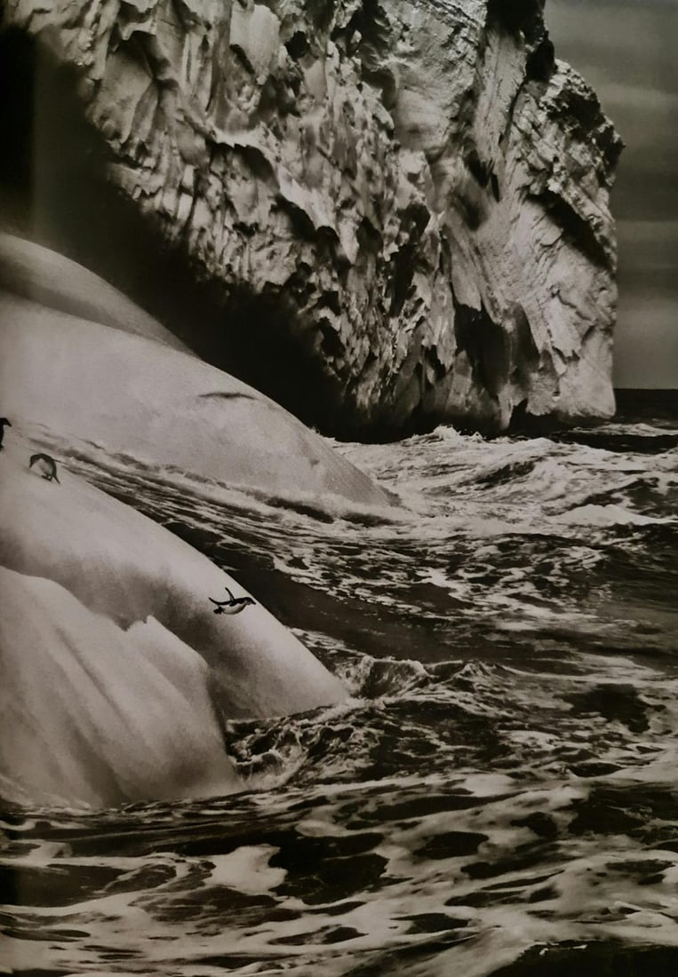 Sebastiao Salgado, Chinstrap penguins on an iceberg, South Sandwich Islands, 2009: Photographer: Sebastiao Ribeiro Salgado Junior is a Brazilian social documentary photographer and photojournalist. He has traveled to over 120 countries for his photographic projects. Most of these ha