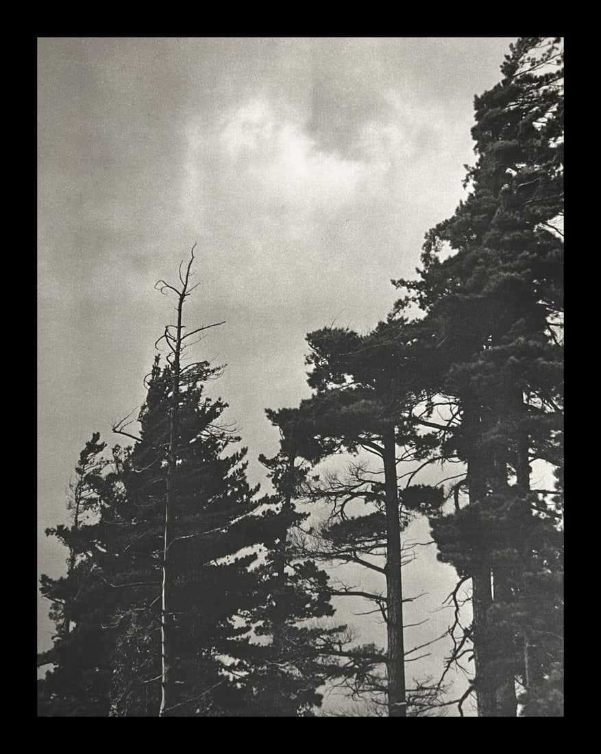 Bruce Weber, Untitled, 1988 - 4: Photographer: Bruce Weber (American, b. 1946) - internationally renowned American fashion photographer best known for his racy, erotically charged imagery. Weber has shot the ad campaigns of Calvin Kl