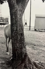 Elliott Erwitt, Bahia, Brazil, 1963, Limited Editing Of 155