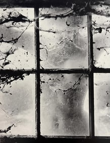 Wynn Bullock, Untitled, 1950's - 5