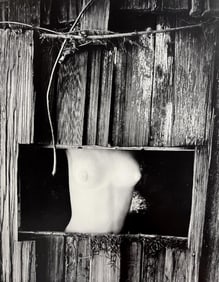 Wynn Bullock, Untitled, 1950's - 6