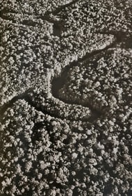 Sebastiao Salgado, Amazon rainforest and tributary of the Rio Negro, Brazil, 2011 - 1