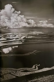 Sebastiao Salgado, Anavilhanas, Amazonas, Brazil, 2009