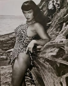 Eric Kroll, Cheetah print, 1990's