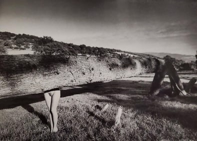 John Swannell, Nude with Log, 1980's