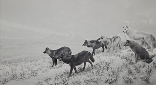 Hiroshi Sugimoto, Alaskan Wolves, 1994
