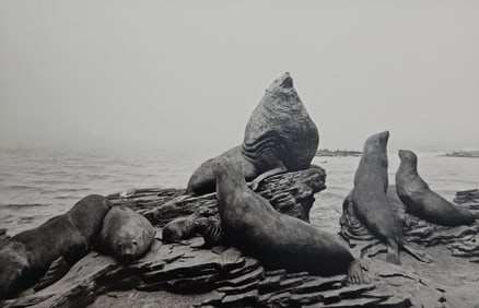 Hiroshi Sugimoto, Stellar Sea Lion, 1994