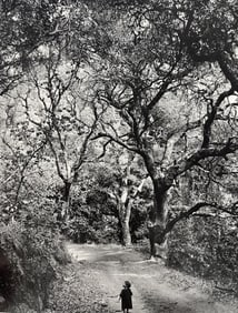 Wynn Bullock, Untitled, 1950's - 4