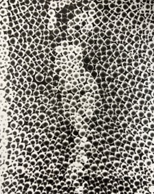 Man Ray, Untitled, 1926
