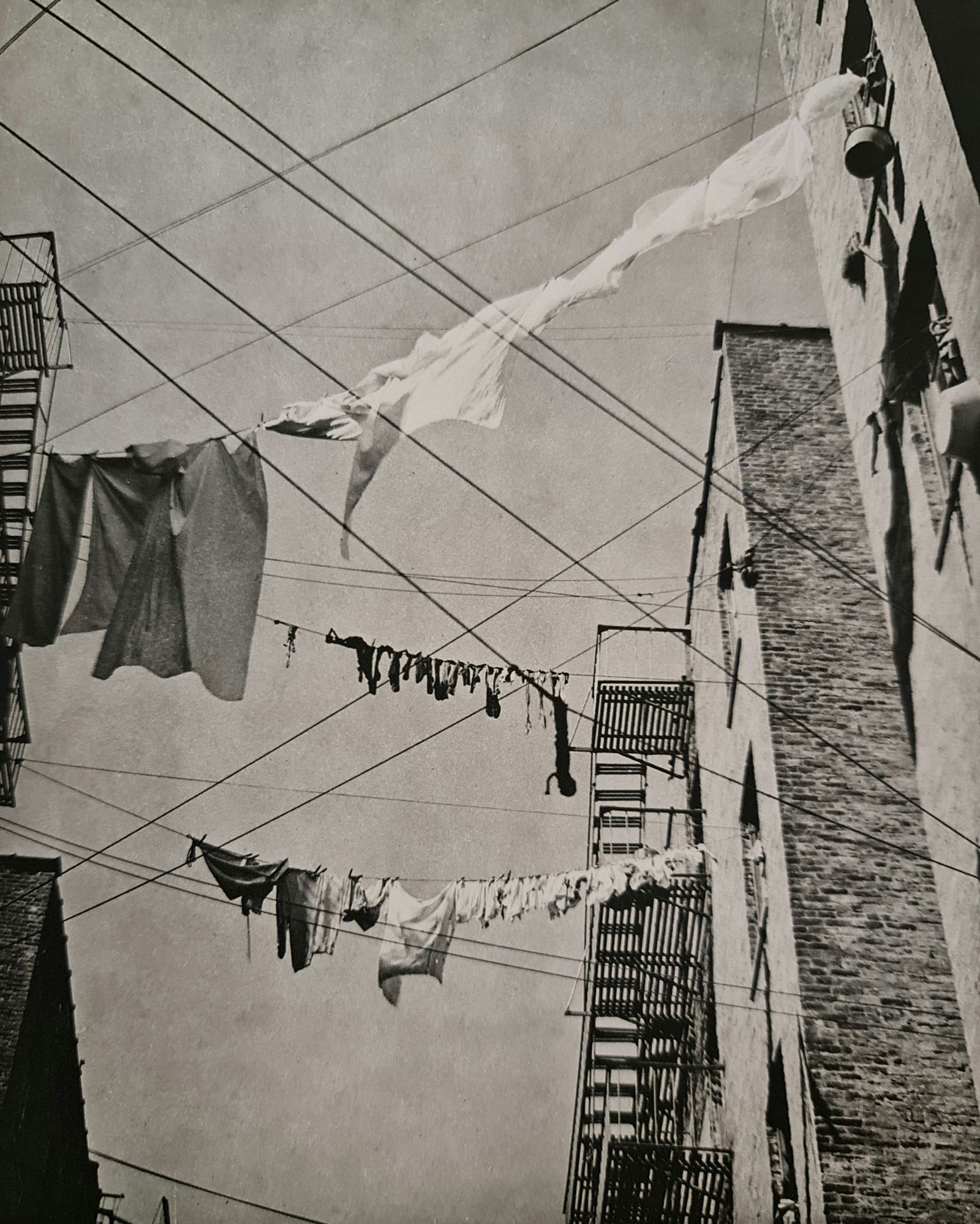 André Kertész, Clothesline, New York, 1937: Photographer: André Kertész, born Andor Kertész, was a Hungarian-born photographer known for his groundbreaking contributions to photographic composition and the photo essay. Subject: Clothesline,