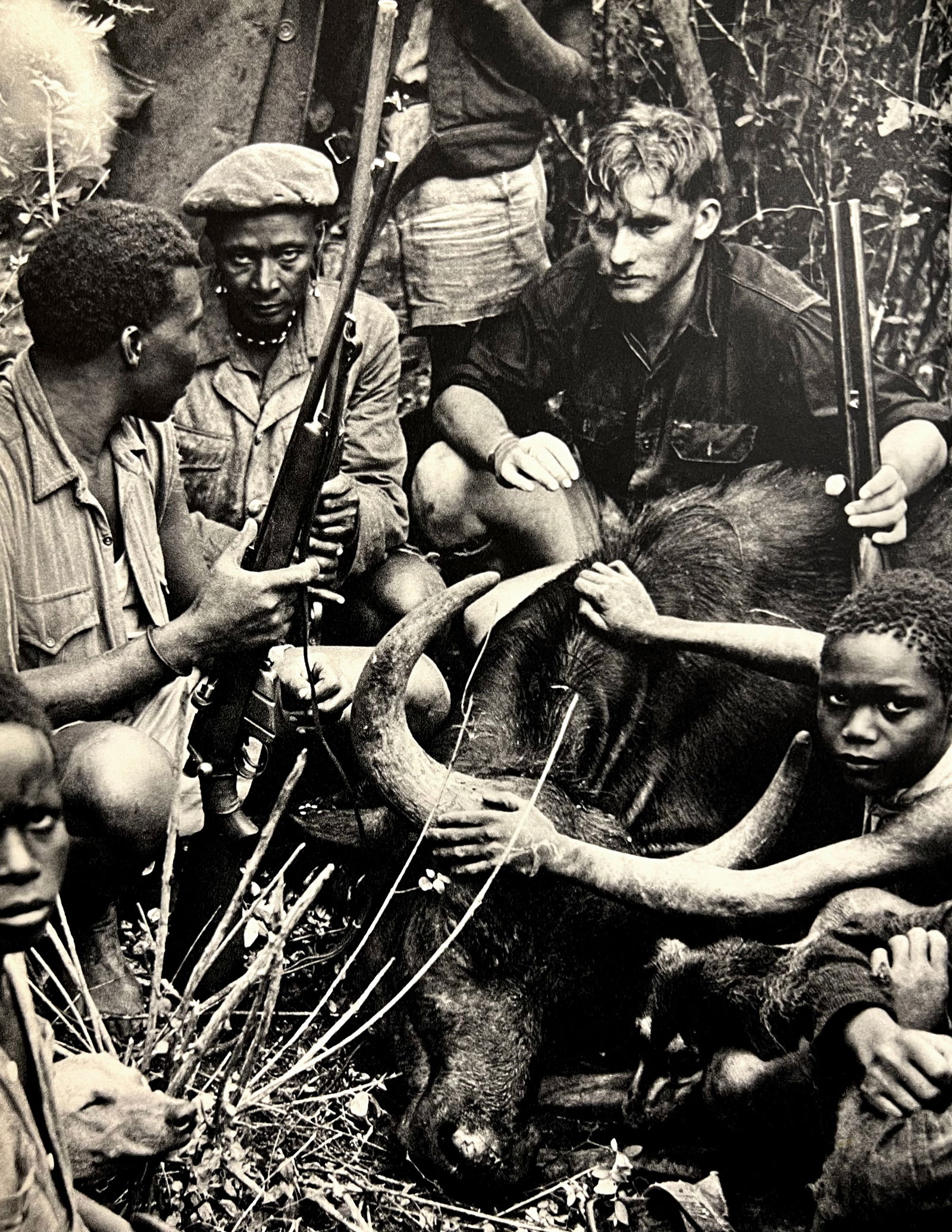 Peter Hill Beard, Tereri, Larsili, Bryan Coleman, And Cow Buffalo, 1960s (1 of 1)