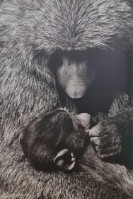 Herb Ritts, Baboon And Baby, 1994