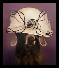 William Wegman, Eye Of The Dog, 1999