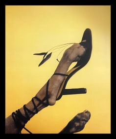 William Wegman, Feathered Foot, 1999