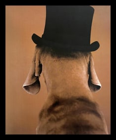 William Wegman, Gent, 1999