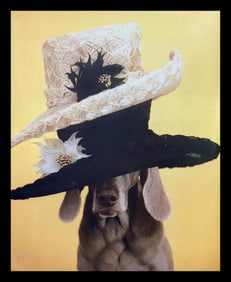 William Wegman, Hatter, 1999