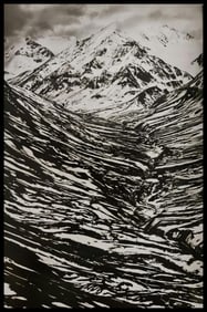 Sebastiao Salgado, Bighorn Creek, Kluane National Park, Canada, 2011