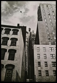André Kertész, Bird flying over buildings, New York, 1963