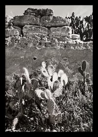Manuel Alvarez, Thorns, 1940s