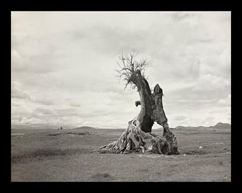 Manuel Alvarez, Tree Struck By Lightning, 1956