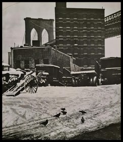 André Kertész, Birds in the snow, New York, 1947