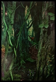 Ruud Van Empel, Study In Green#1, 2003